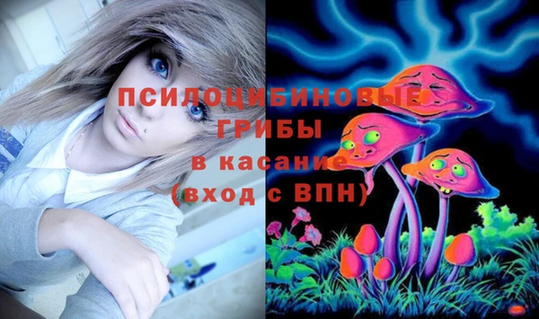 spice Баксан
