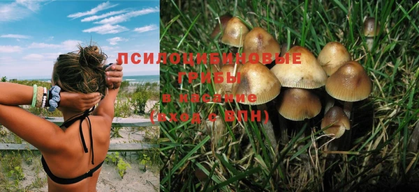 spice Баксан