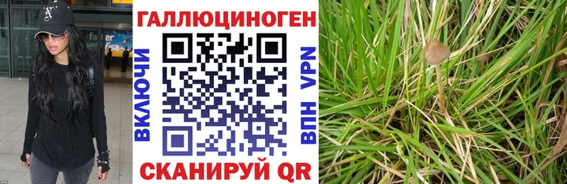 Псилоцибиновые грибы Magic Shrooms  MEGA tor  Николаевск-на-Амуре 