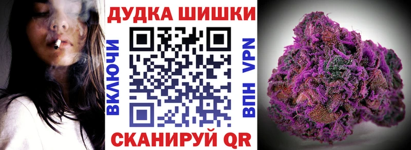 darknet наркотические препараты  Николаевск-на-Амуре  Канабис конопля  продажа наркотиков 